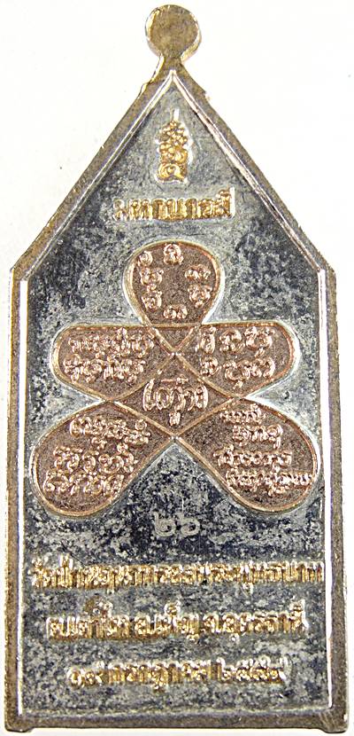 เหรียญรุ่น ๕ มหาบารมี วัดป่านฤนาทรอยพระพุทธบาท อุดรธานี  สายหลวงพ่อพิบูลย์