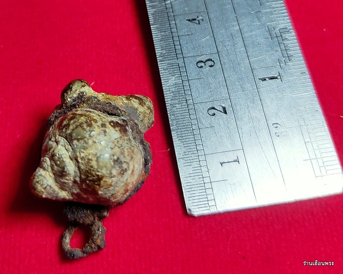 คตหอยโบราณ ของทนสิทธิ์มีฤทธิ์ในตัว