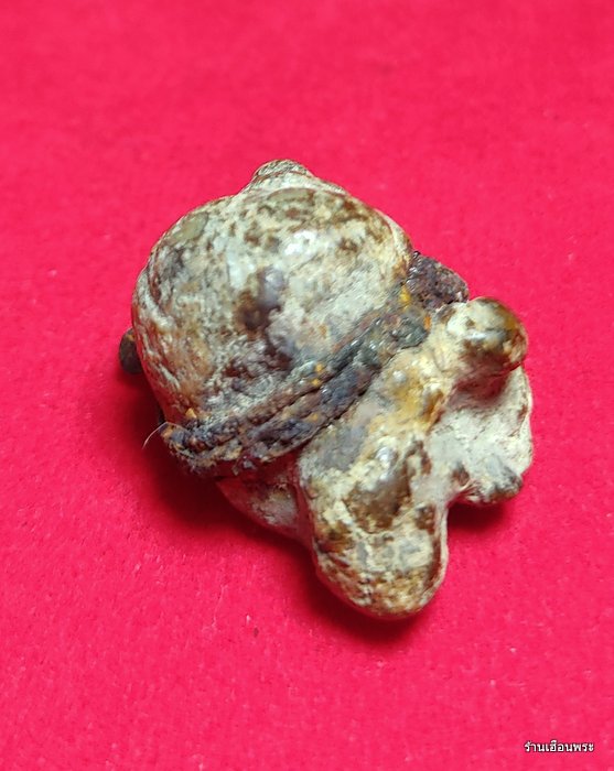 คตหอยโบราณ ของทนสิทธิ์มีฤทธิ์ในตัว