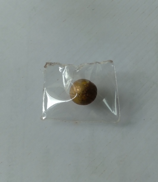 ลูกอมเทียนไม่ทราบที่