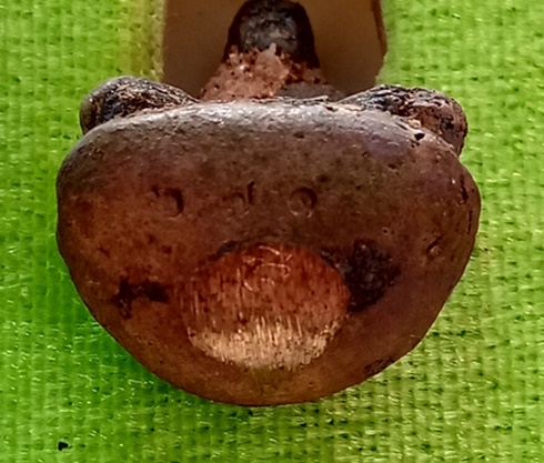 รูปหล่อเบ้าทุบ รุ่นแรก หลวงปู่คีบ ธีรปัญโญ เนื้อ นวะเทดินไทย แยกจากชุดกรรมการ สร้าง 299 ชุด