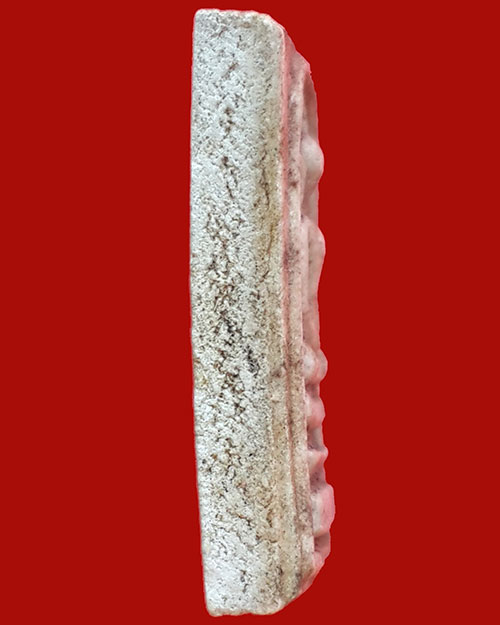 พระสมเด็จวัดหนองบัว อ.บ้านหมอ จ.สระบุรี 