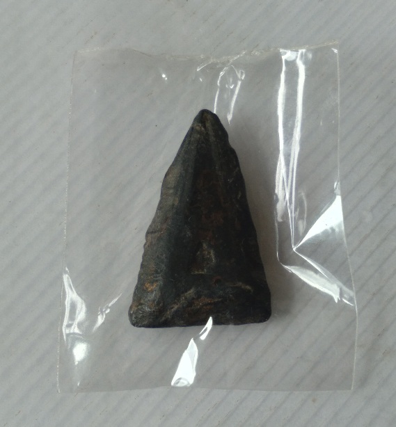 พระผงพิมพ์ชินราช หลวงพ่อทาบ วัดกระบกขึ้นผึ้ง