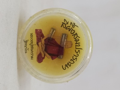 สีผึ้ง สมปรารถนา หลวงปู่สงครม. ฐิตฺญาโณ สำนักปฏิบัติธรรมเขาลูกไก่  อุทัยธานี