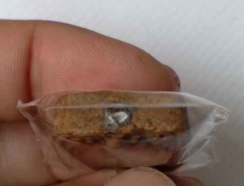 พระพิมพ์ขี่ครุฑหลวงพ่อฤาษีลิงดำ วัดท่าซุง สร้างปี2518