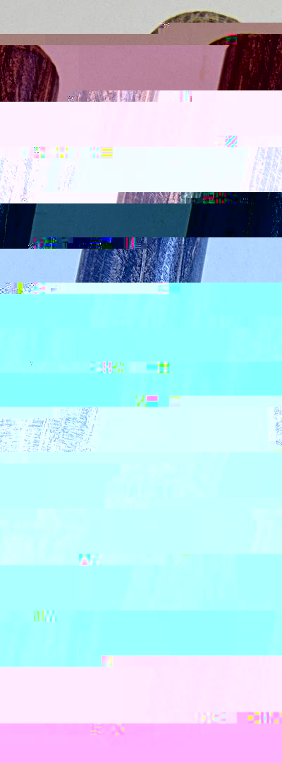 ๒๐ สากปลัด ค้าขาย