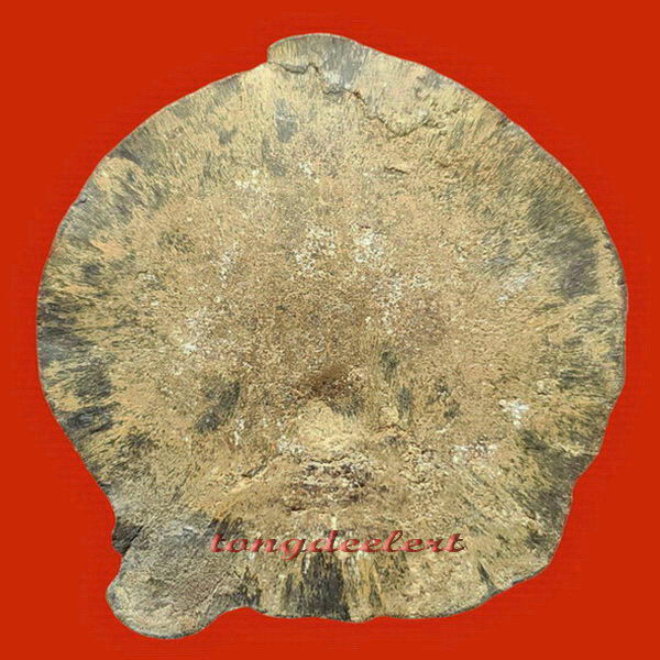 พระท่ากระดานไม่ตัดปีก หลวงพ่อนารถ วัดศรีโลหะราษฎร์บำรุง จ.กาญจนบุรี หายากมากค่ะ