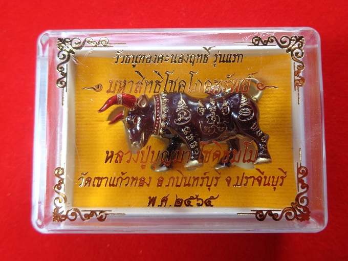 วัวธนูทองคะนองฤทธิ์รุ่นแรก รุ่นมหาสิทธิโชคโภคทรัพย์ หลวงปู่บุญมา วัดเขาแก้วทอง จ.ปราจีนบุรี สวยครับ