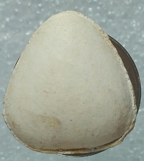 พระปิดตาเนื้อผง