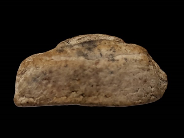 พระนางพญา หลวงพ่อชาญณรงค์ อภิชิโต วัดเงินบางพรหม ปี ๒๕๒๙