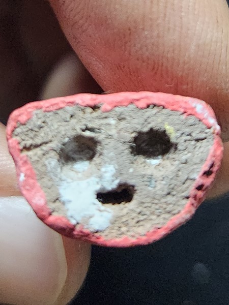  วัดสามง่าม นครปฐม กุมารทองพกพา รุ่น99ปี หลวงปู่แย้ม 2555 