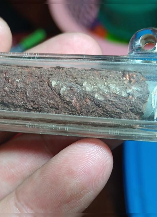 ตะกรุดฝนแสนห่า พอกชานหมาก ไตรมาส 51 หลวงปู่ผาด อภินนฺโท วัดไร่ อ่างทอง 