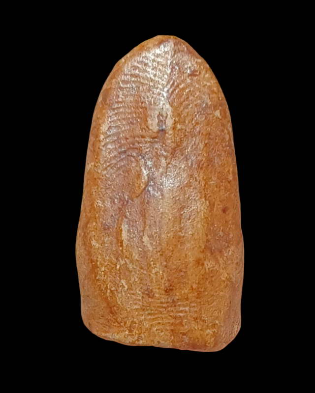 พระรอดหลวงพ่อมุ่ยวัดดอนไร่ปี2507