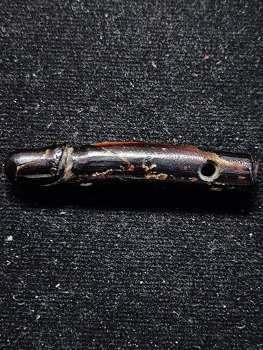 ปลัดขิก ไม้กัลปังหา