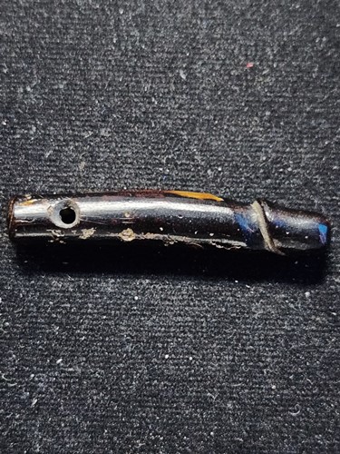 ปลัดขิก ไม้กัลปังหา