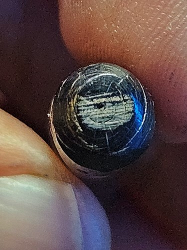 ปลัดขิก ไม้กัลปังหา