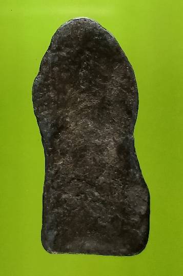 พระนาคปรก เนื้อชิน 