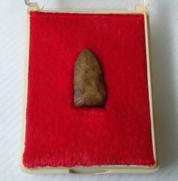 พระรอดลำพูนใบมะขาม วัดบ้านแล้ง จ.ลำพูน