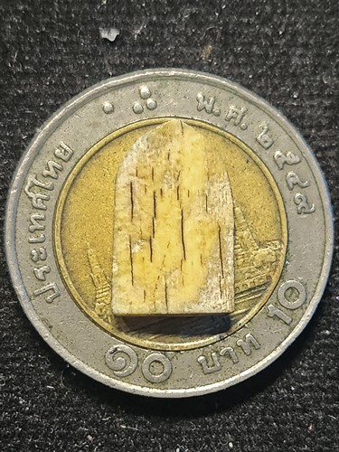 นางกวักงาแกะ