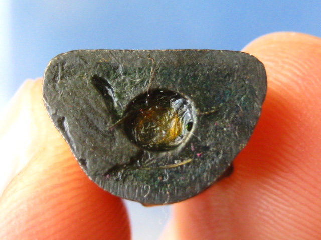 รูปหล่อ หลวงพ่อนาค วัดหนองโปร่ง สระบุรี