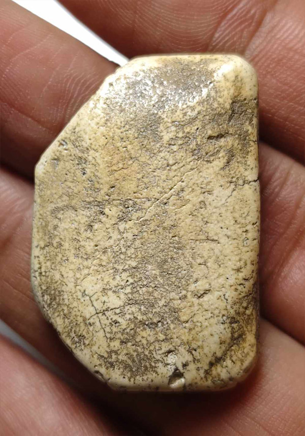 สมเด็จ แขนติ่ง นักเลงโต