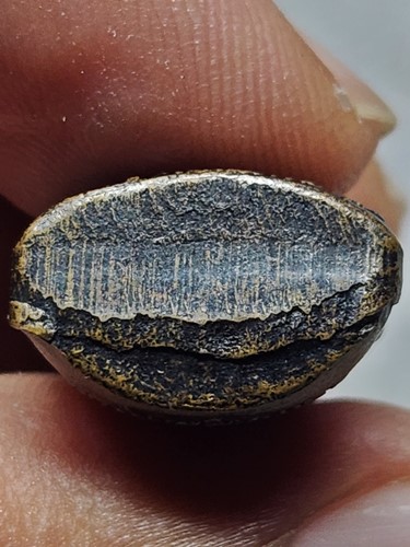  วัดหาดมูลกระบือ จ.พิจิตร รูปหล่อปั้ม หลวงพ่อวิเชียร