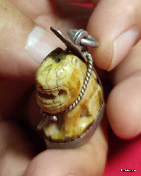 เขี้ยวเสือหลวงพ่อปาน วัดบางเหี้ย (คลองด่าน) พิมพ์อ้าปาก