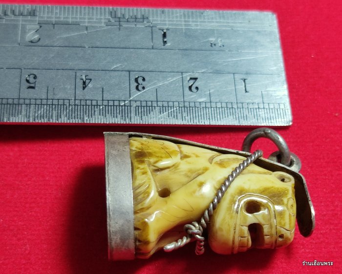 เขี้ยวเสือหลวงพ่อปาน วัดบางเหี้ย (คลองด่าน) พิมพ์อ้าปาก