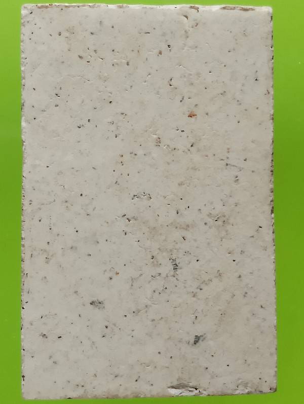 พระสมเด็จปรกโพธิ์ 