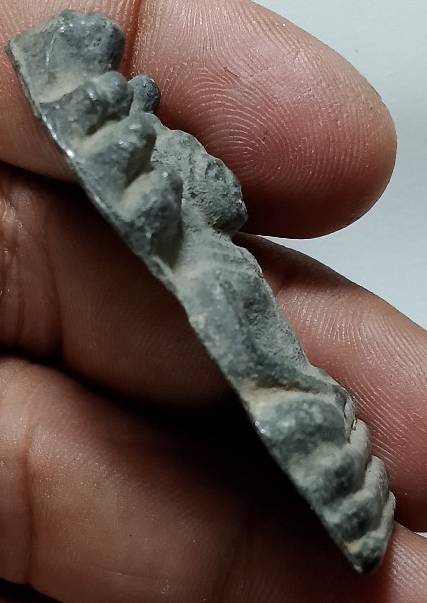 พระนาคปรก เนื้อชิน