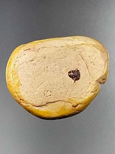 พระปิดตา มหาลาภ เนื้อว่านผสมน้ำนมควาย พ่อท่านเลียบ ฐิตเมโธ วัดนาวง