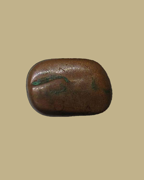 เสือ รุ่น ๖ หลวงพ่อวงษ์ วัดปริวาส กทม.ปี ๒๕๑๙