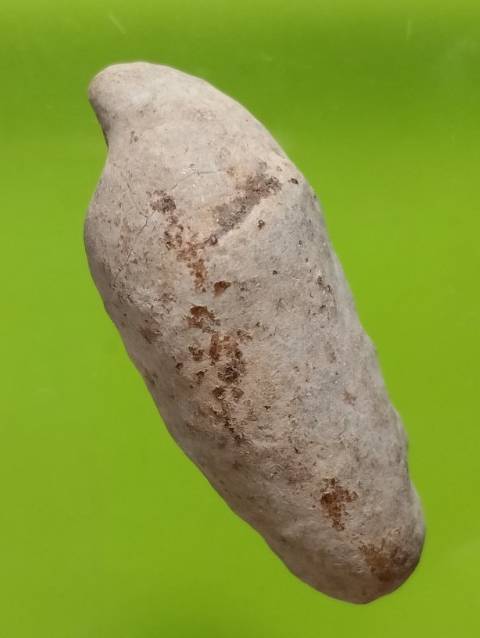 คตหอย