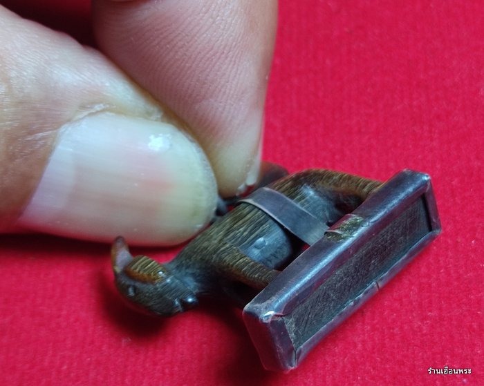 แพะ หลวงพ่อรัตน์ วัดหนองกระบอก จ.ระยอง