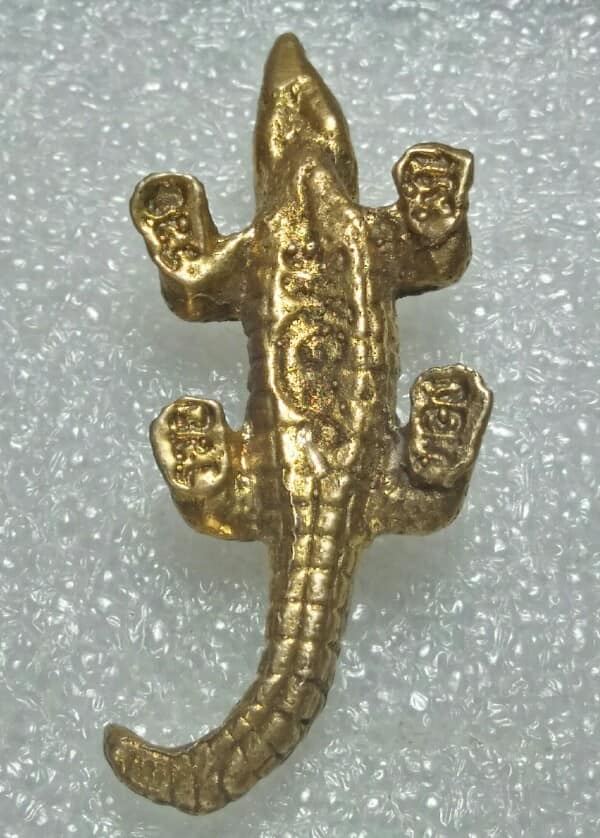 จระเข้ รวยค้ำฟ้า มหาเศษรฐี วัดปราณบุรี  จ.ประจวบฯ ปี๕๐ 