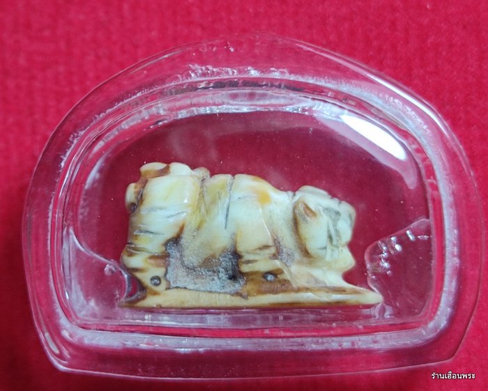 พญาหมูป่า หลวงพ่อเฮง วัดเขาดิน จ.นครสวรรค์ (งาแกะ)