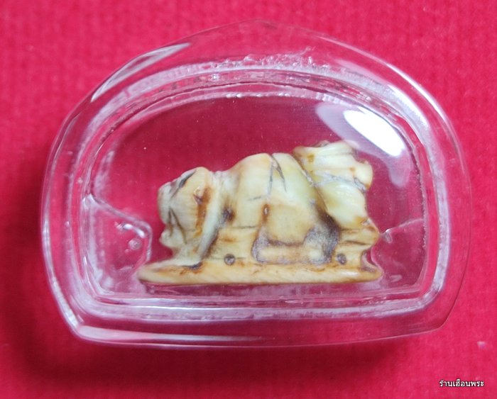 พญาหมูป่า หลวงพ่อเฮง วัดเขาดิน จ.นครสวรรค์ (งาแกะ)