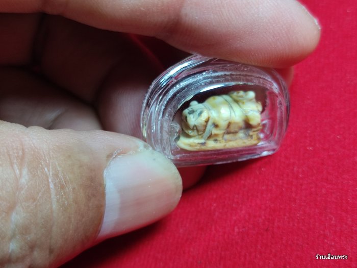 พญาหมูป่า หลวงพ่อเฮง วัดเขาดิน จ.นครสวรรค์ (งาแกะ)