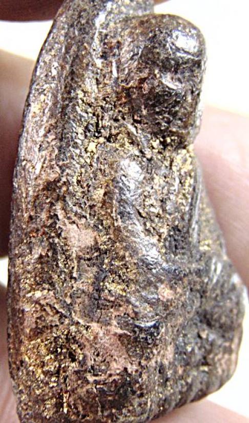 หลวงปู่ทวด เนื้อว่าน