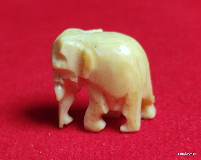 ช้างหลวงปู่ทิม อิสริโก ออกวัดโพธิสัมพันธ์ ปีพ.ศ. 2518