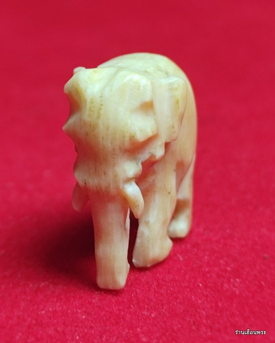 ช้างหลวงปู่ทิม อิสริโก ออกวัดโพธิสัมพันธ์ ปีพ.ศ. 2518