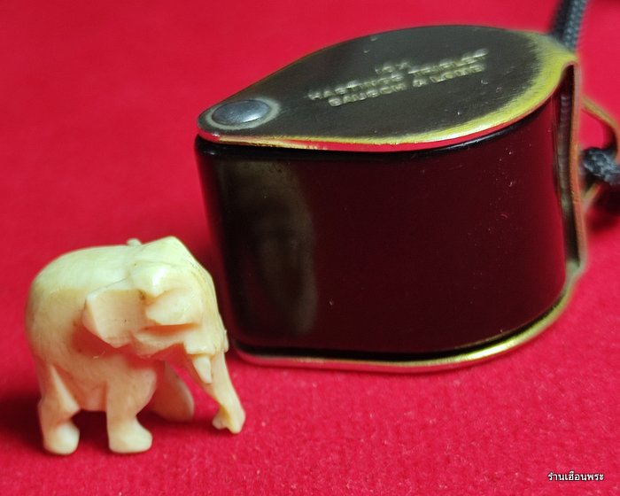 ช้างหลวงปู่ทิม อิสริโก ออกวัดโพธิสัมพันธ์ ปีพ.ศ. 2518