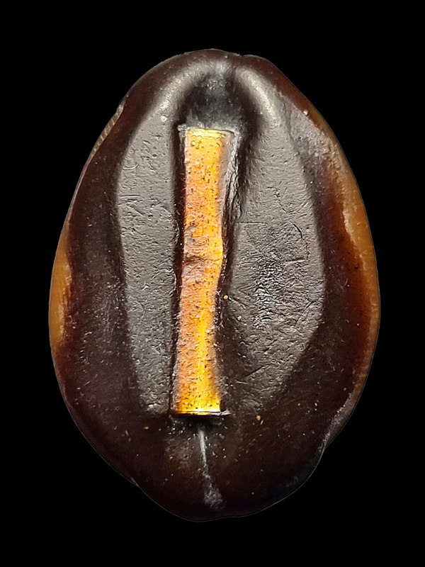 หลวงพ่อเกษม เขมโก สุสานไตรลักษณ์ จ.ลำปาง รุ่นสุริยุปราคา ปี 2538 ( ตะกรุดเงิน ) 