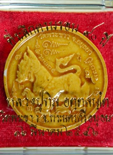 สิงห์เคลือบเหลือง หลวงปู่ทิม วัดพระขาว(3)