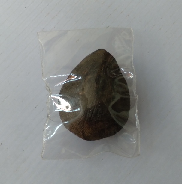 พระผงกลีบบัวไท่ทราบที่