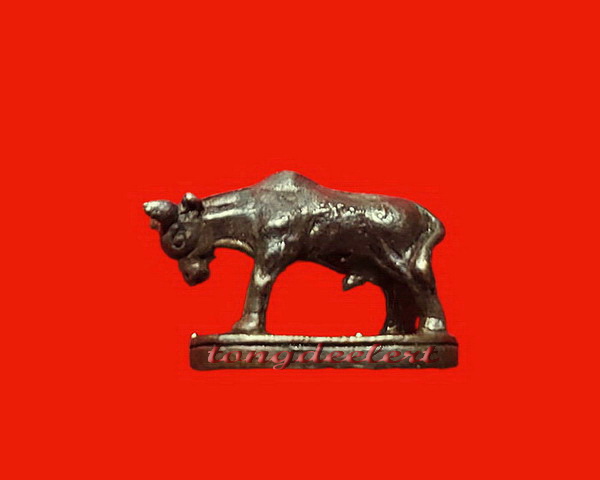 วัวธนูหลวงพ่อแช่ม วัดดอนยายหอม จ.นครปฐม เนื้อทองผสม สวยมากค่ะ