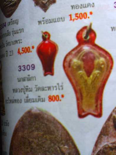 **เบาๆ**นกสาริกาลิ้นทอง หลวงปู่ทิมปลุกเสก แจกในงานผูกพัทธสีมา ปี๒๕๑๗**พร้อมเลี่ยมเดิม ประสบการณ์ดี