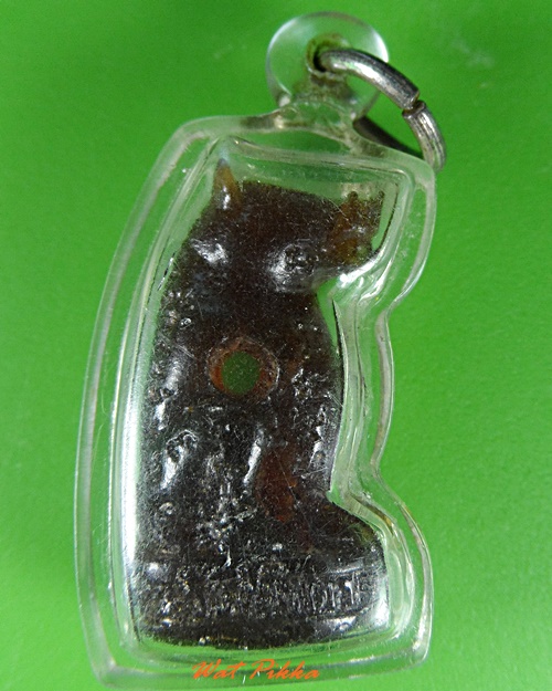 หมูทองแดง หลวงพ่อสมคิด วัดบึงตาต้า ระยอง .4015.