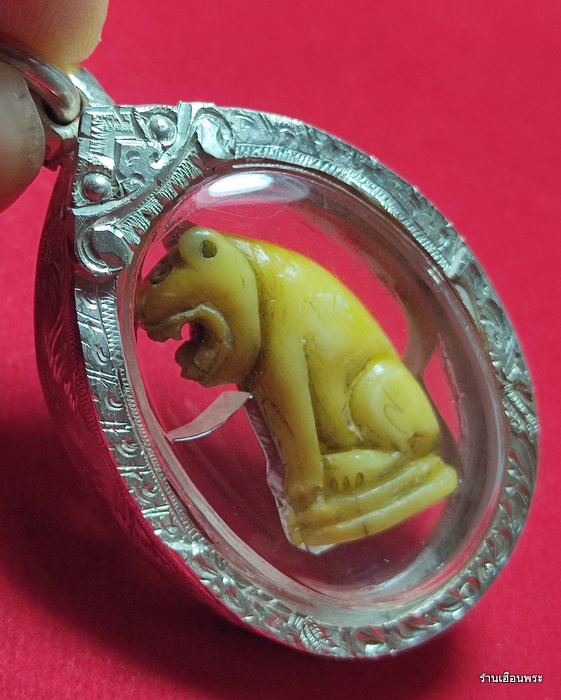 เขี้ยวเสือหลวงพ่อสาย วัดคลองด่าน จ.สมุทรปราการ พิมพ์อ้าปาก