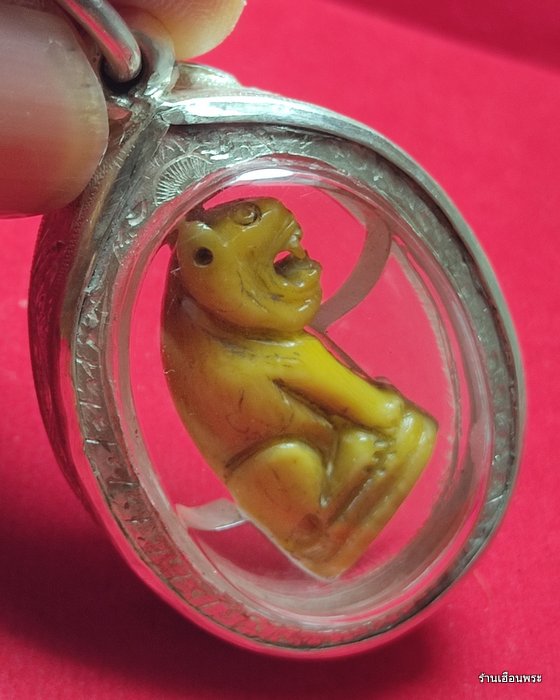 เขี้ยวเสือหลวงพ่อสาย วัดคลองด่าน จ.สมุทรปราการ พิมพ์อ้าปาก